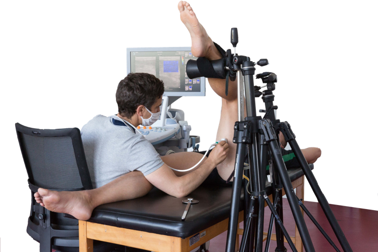 Figure 3 – a. Photographie de mesures des propriétés élastiques du muscle par élastographie ; b. Extrait du rapport d’élasticité.