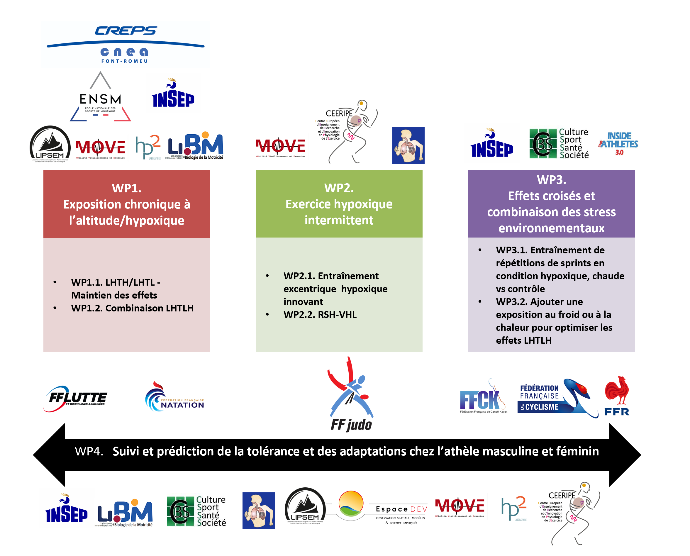 Figure 1 – Les lots de travail du projet HYPOXPERF.