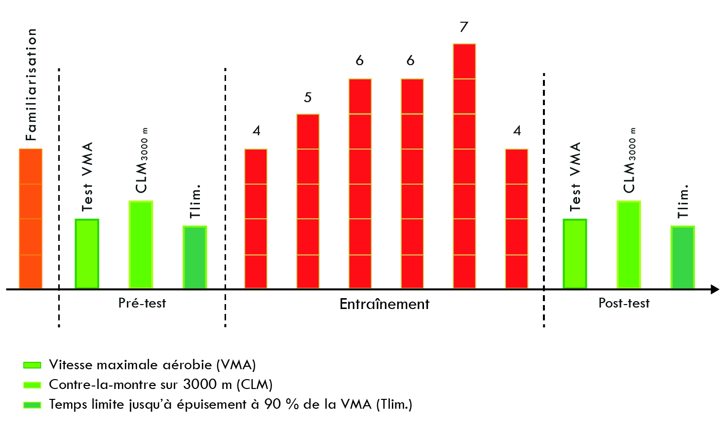 Figure 5 – Protocole expérimental pour les coureurs de trail.