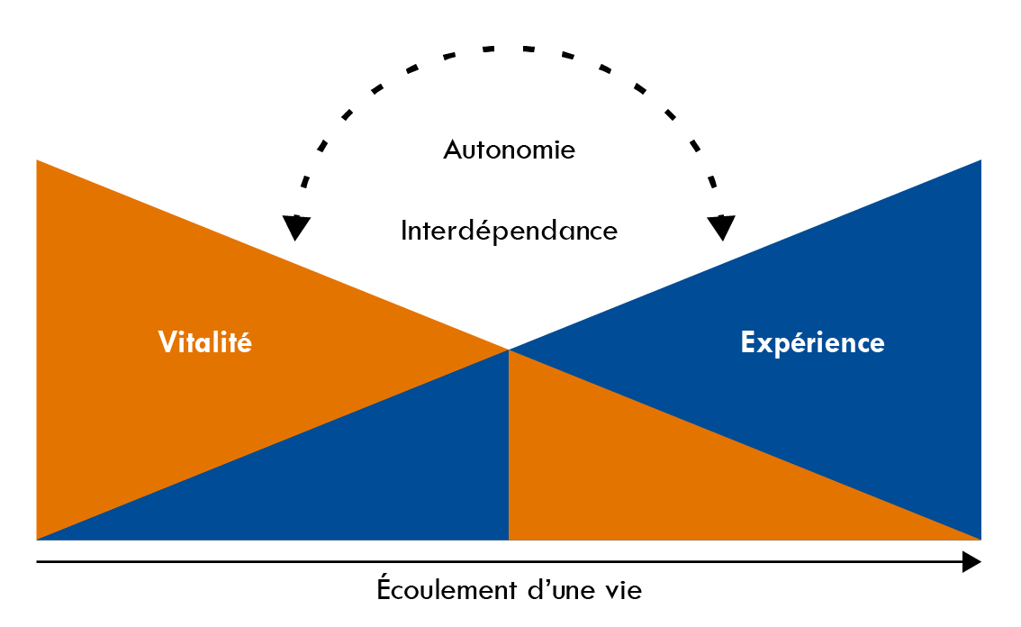 Figure 5 – Dynamique vitalité/expérience.