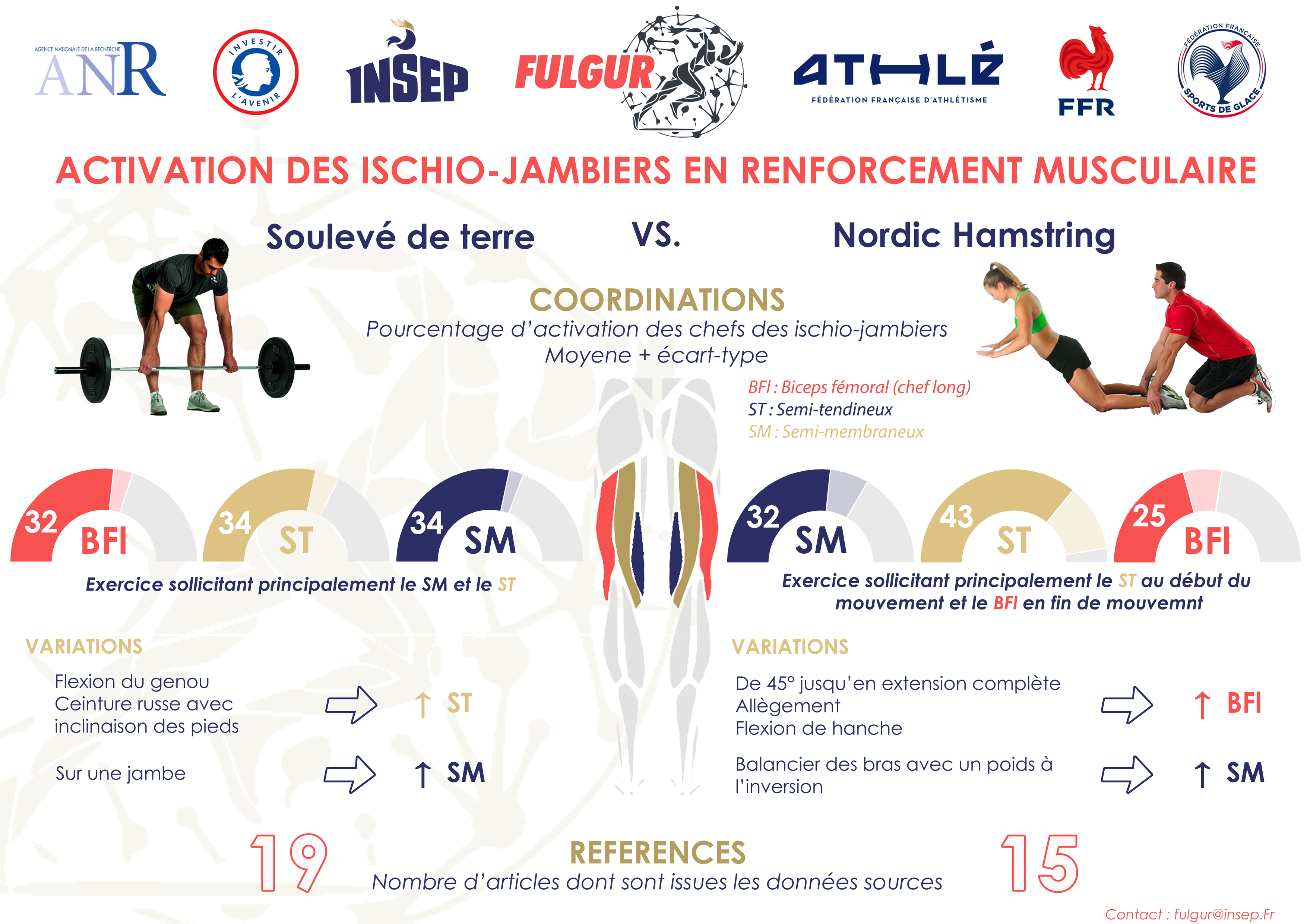 Figure&nbsp;4 – Activation des différents chefs des ischio-jambiers en soulevé de terre et nordic hamstring d’après des données issues de la littérature.