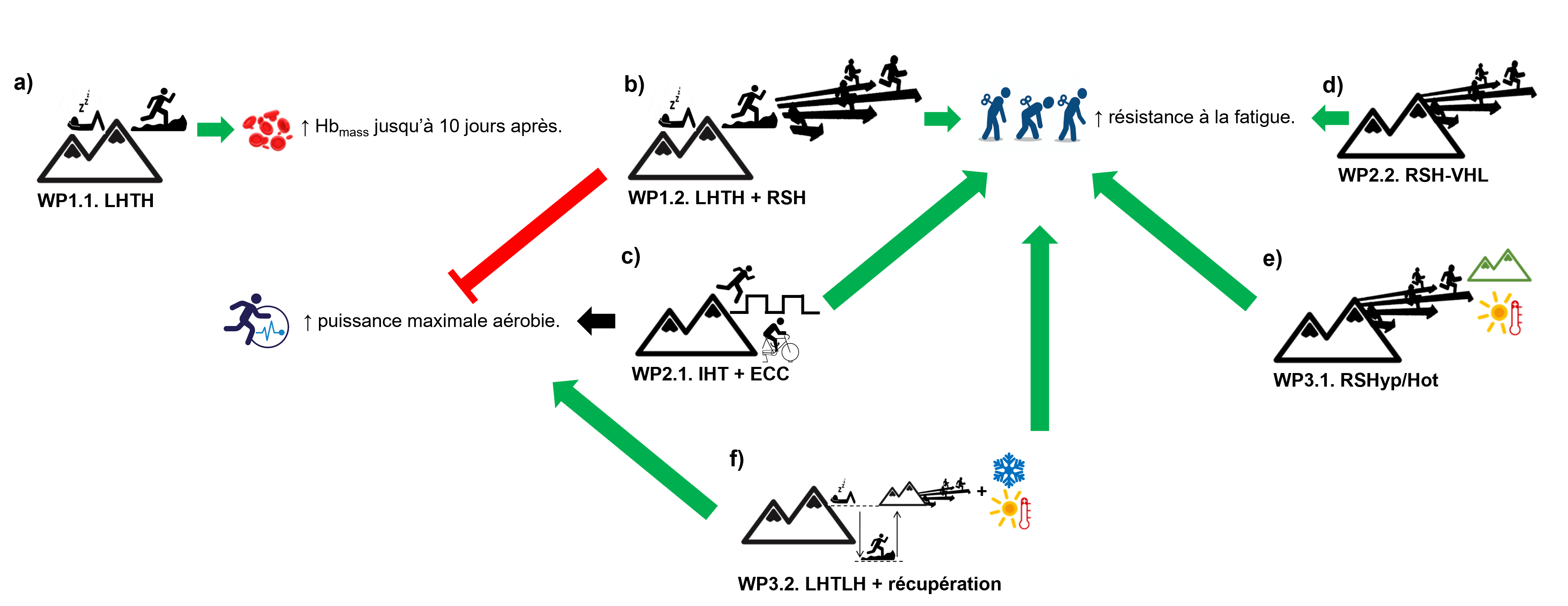 Figure 3 – Résultats préliminaires principaux des différents lots de travail du projet HYPOXPERF.