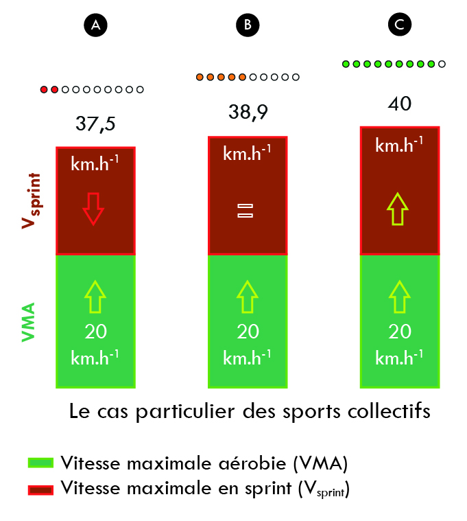 Figure 3 – Illustrations schématiques des évolutions possibles de la vitesse maximale aérobie (VMA) et de la vitesse maximale de sprint (Vsprint) en fonction des méthodes d’entraînement.