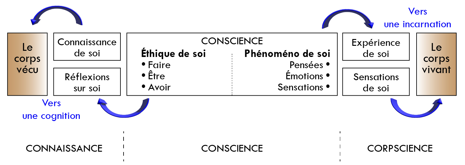 Figure 1 – Corps et conscience.