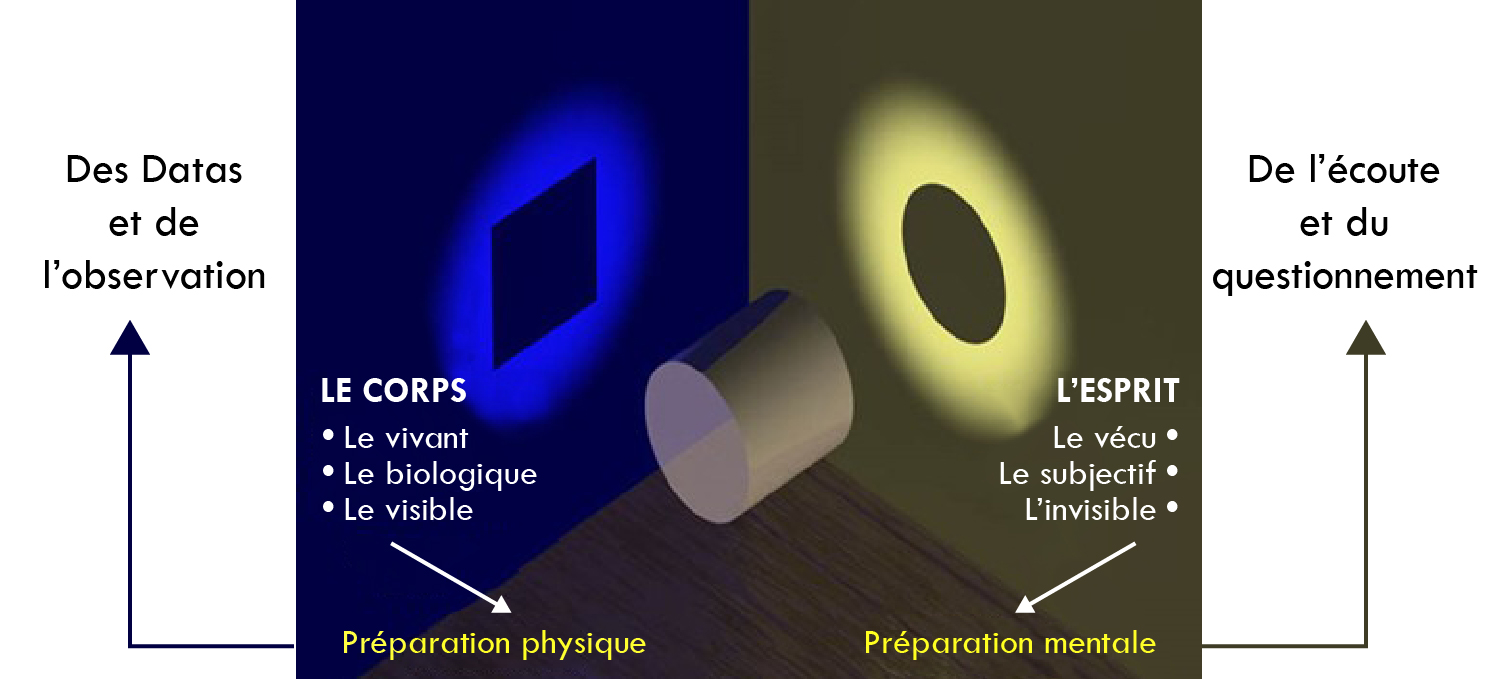 Figure 3 – Dualité de l’objet.